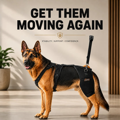 Oak & Aura™ Full Body Mobility Harness