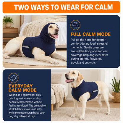 Oak & Aura™ CalmGuard Premium Vest