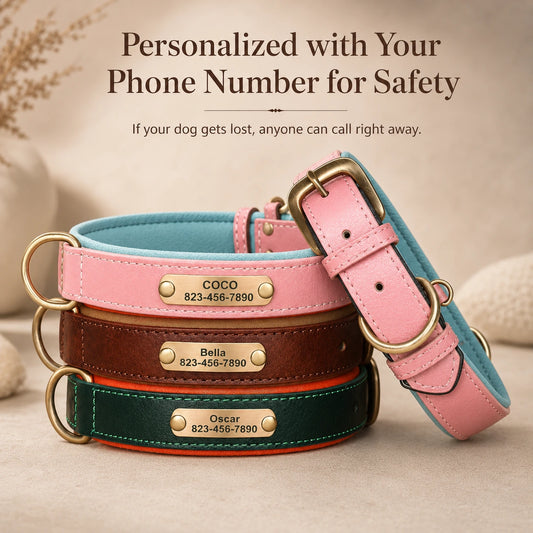 Handmade Premium Personalized Leather Collar