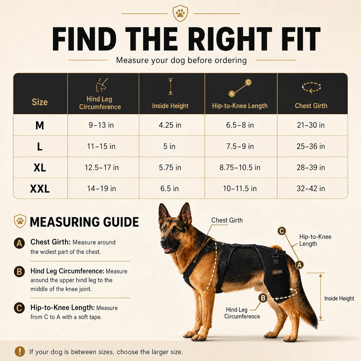 Oak & Aura™ Full Body Mobility Harness