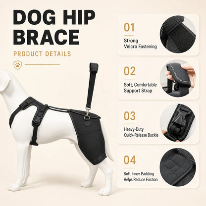 Oak & Aura™ Full Body Mobility Harness