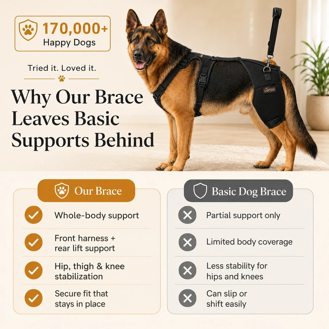 Oak & Aura™ Full Body Mobility Harness