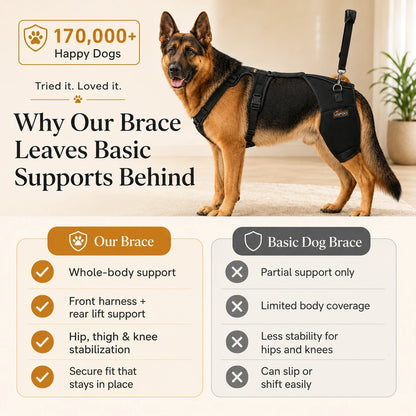 Oak & Aura™ Full Body Mobility Harness