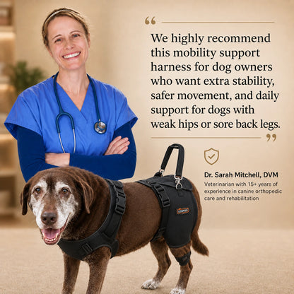 Oak & Aura™ Full Body Mobility Harness